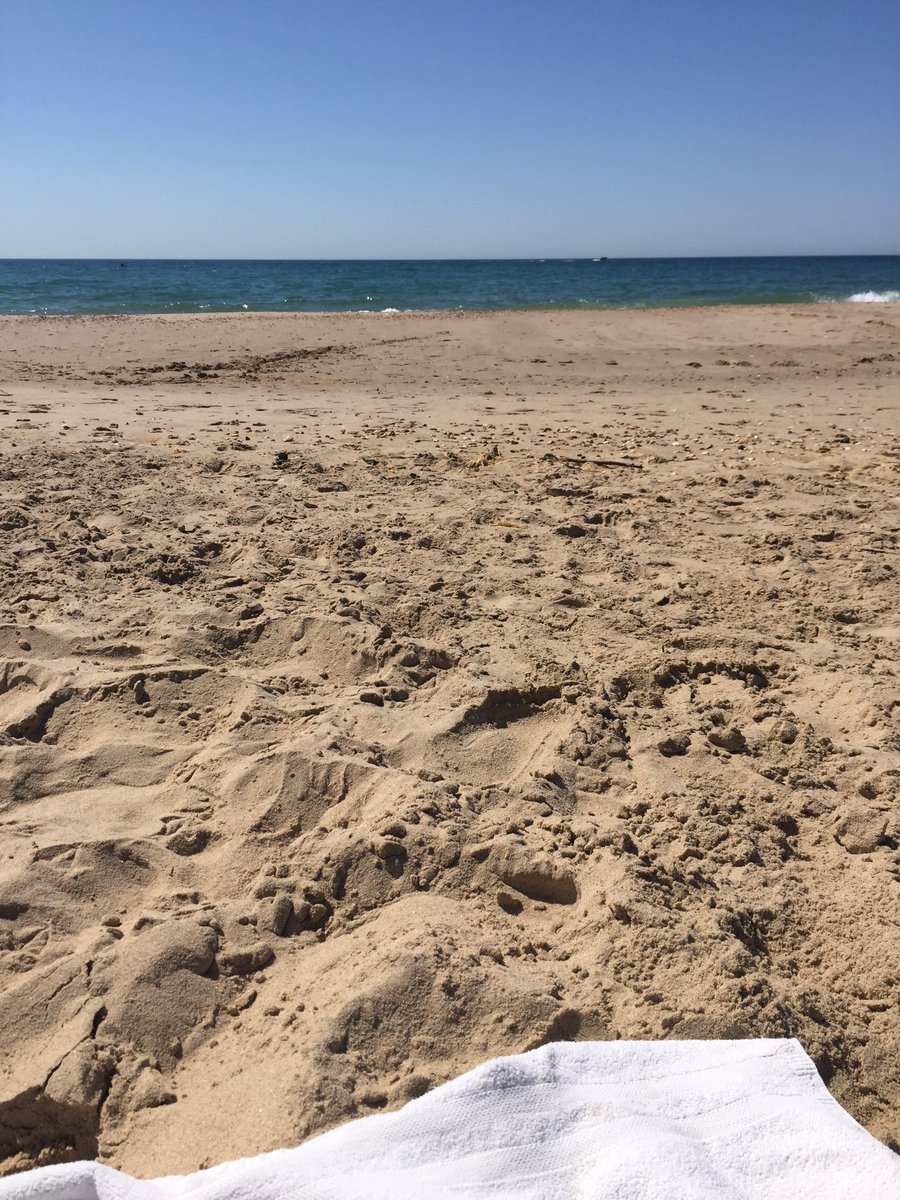 gt1810's tweet photo. Enjoying a couple hours on beach b4 school pickup. #jobscanwait #imonholiday ☀️ https://t.co/hHb4zWuiYm