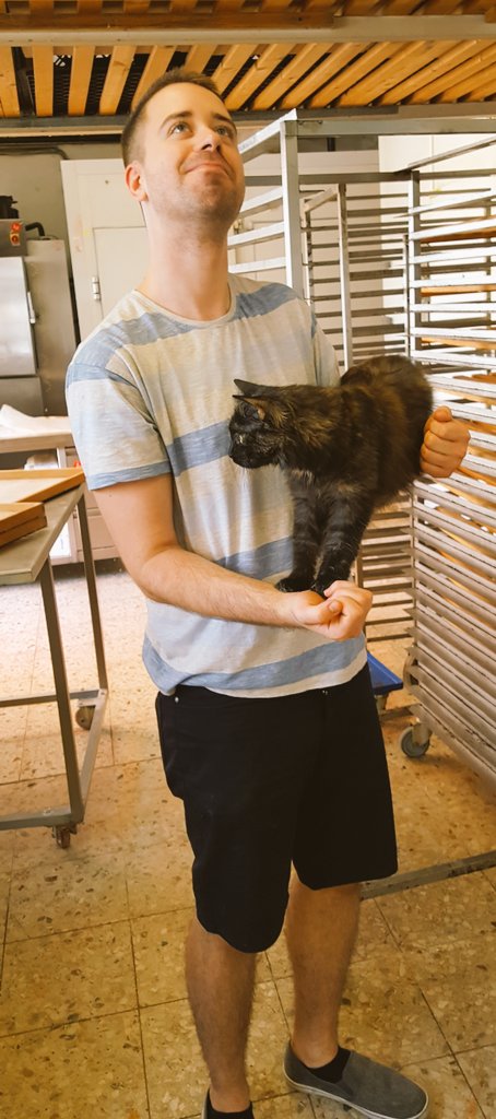 PeterKonditor's tweet image. #MuchMajetic
#SoWow
#SuchCat

#NoDoge