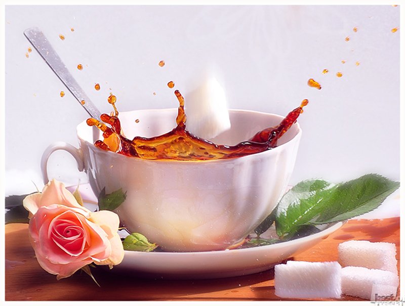 <a href="/zailda/">Zailda Coirano</a> <a href="/GaleraSdv/">Clube #GSDV</a> <a href="/inglesdiadema/">Teacher</a> <a href="/GGDCry/">GrownGirlsDon'tCry</a> <a href="/RTNaoDoi/">RT Não Dói</a> <a href="/sahsarinhah/">Sarah Cristina</a> @frases_sincera <a href="/suz78/">✨7877✨</a> <a href="/KibetzVal/">BOX VILLAT</a> <a href="/chopptime94/">☆ⓥⓛⓒⓣⓞⓡ⚡️</a>