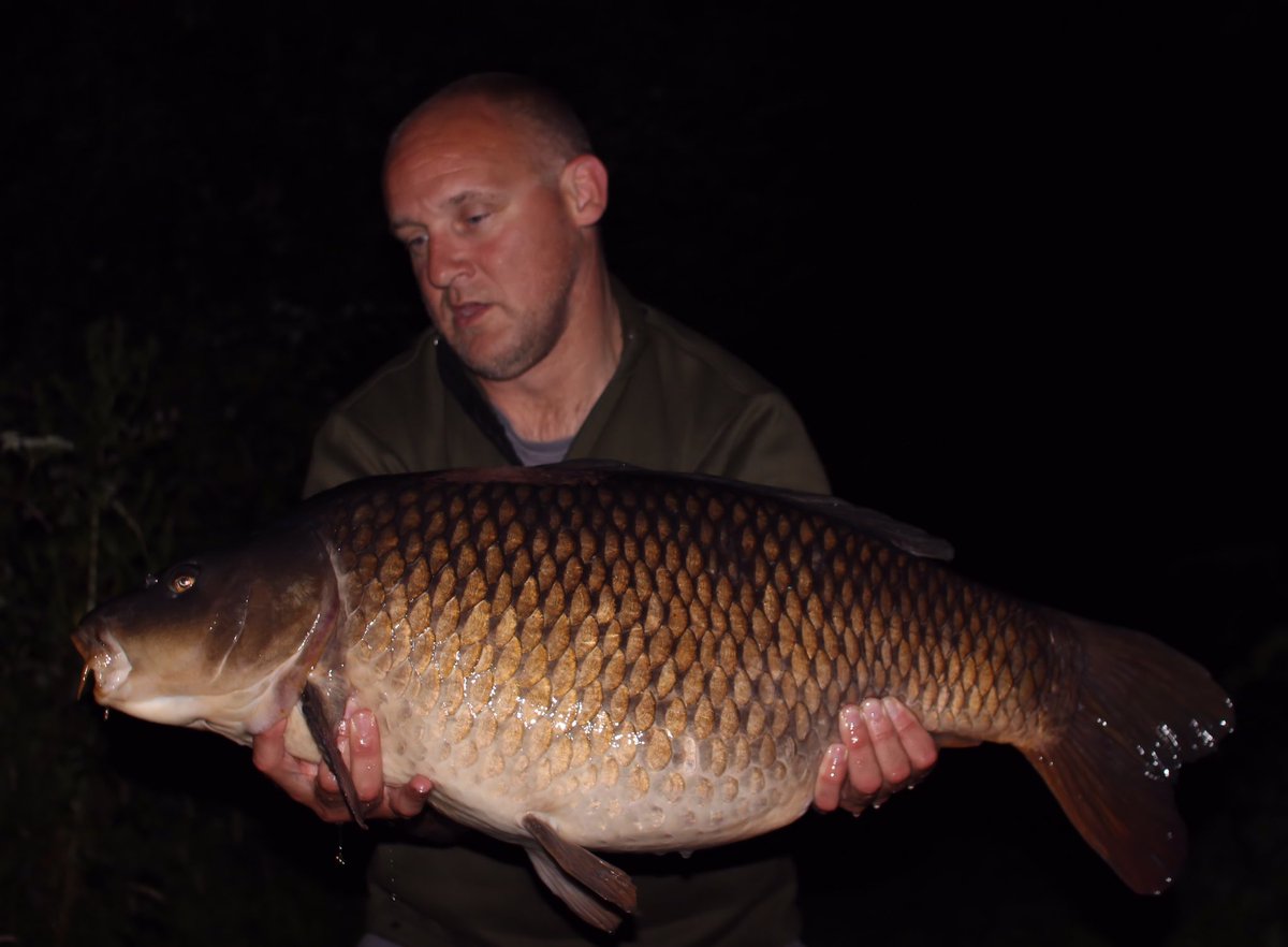 RobAndrews67's tweet photo. 8x30's to 37lb plus 3 high 20s since the new ticket started. That will do nicely! #essentialbaits https://t.co/a2QwdyeFQ1