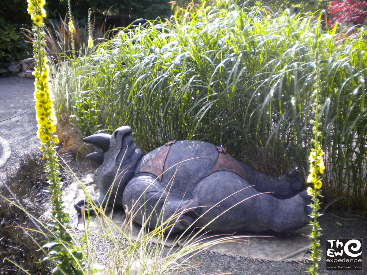 The Ewe Experience tweet media