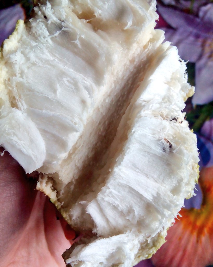 AqiraSyaffa's tweet photo. Bila pregy nie tekak mula la nak makan yang bukan2
#mengidam buah durian belanda pulak
#pregy mom 1 month https://t.co/vTqmkyrShZ