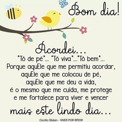 Pois todo aquele que faz a vontade do meu Pai, que está nos céus, esse é meu irmão, minha irmã e minha mãe”.Mt 12,50