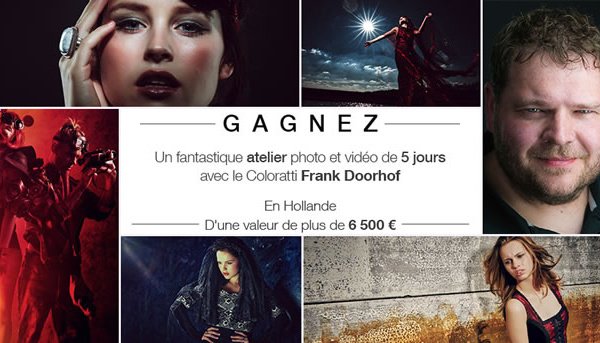 Photographes tweet media