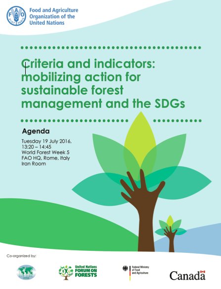 FAOForestry's tweet photo. #COFO23 | Experts discuss potential of criteria &amp; indicators for #forests https://t.co/bCHYEtLZwV #CISFM @NRCan https://t.co/ULosjkBtyp