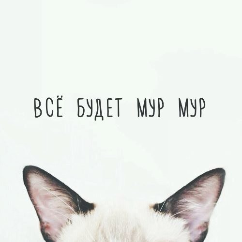 Мария Разина (@mariya___razina) on Twitter photo 