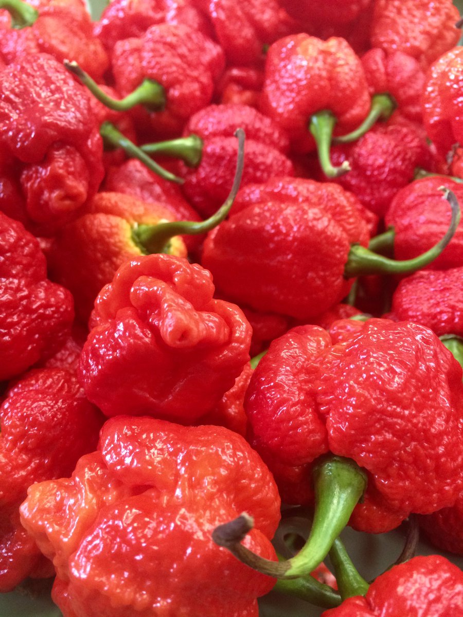 MushemiFire's tweet image. Paul Shearing @breadstkitchen to give you an idea of scale! Best of luck with the new menu tonight