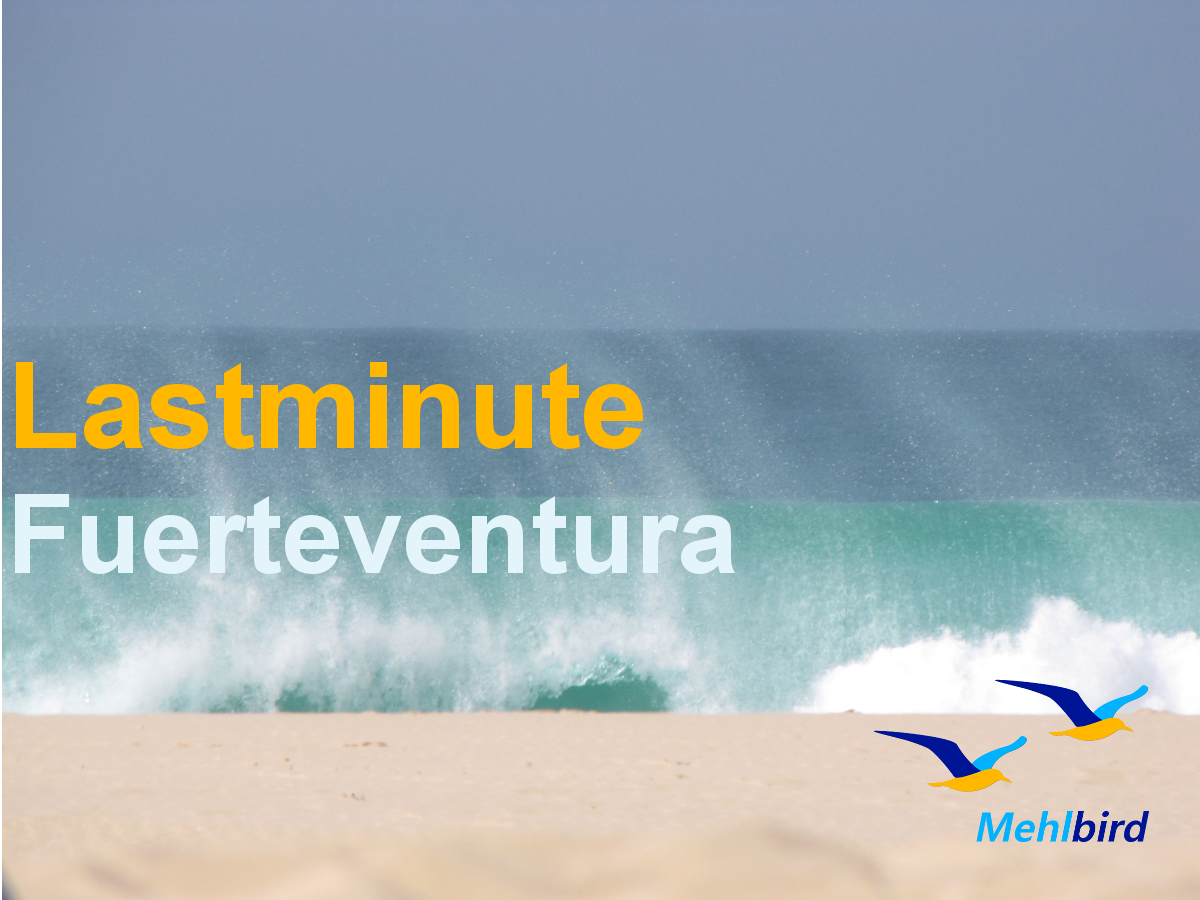 Mehlbird's tweet photo. noch keinen #Urlaub gebucht? - #Fuerteventura ? ab 787€ pP #Sandstand #HP #Mietwagen 9 Tage https://t.co/mNxXC7eQ6H https://t.co/Tl6QIjqRtQ