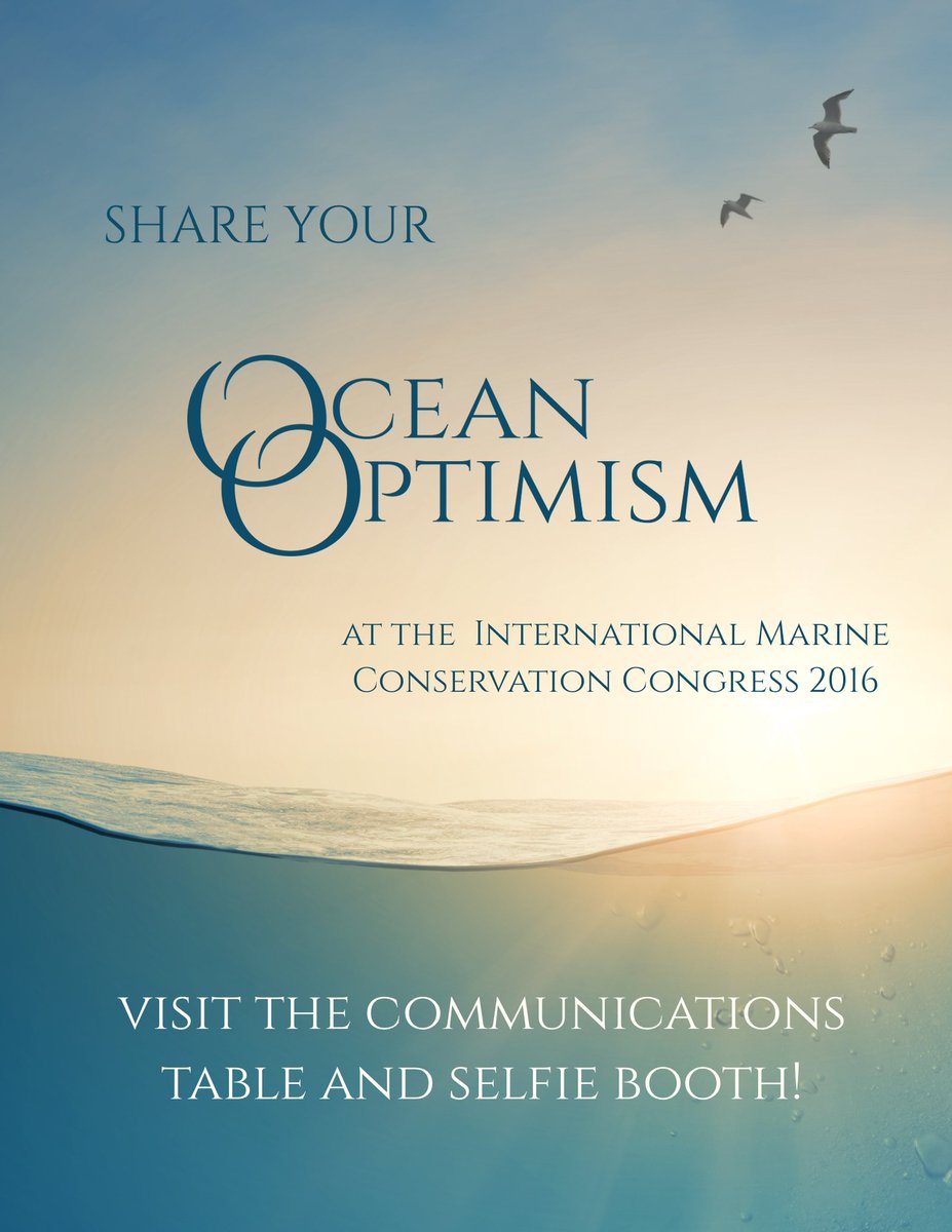 IMCC2024's tweet image. Visit us at the @IMCC2016 comms table to share your #oceanoptimism through a selfie, video or simply a chat!