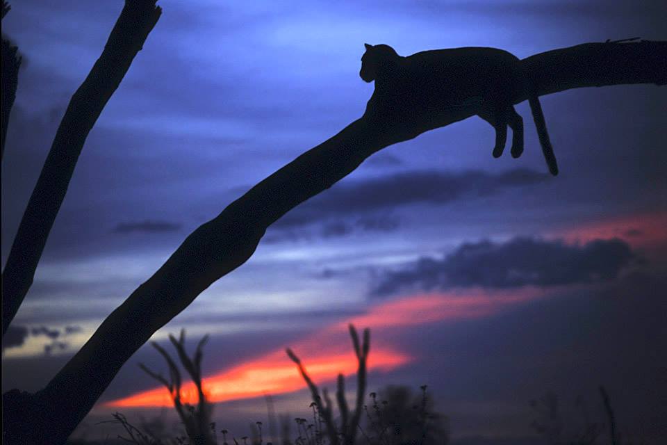 gampsonfranck's tweet photo. The Cameroon We Don't See on Tv 
BOUBANDJIDA
#weCAN2016 #ILoveMyCountry .@SimonMbelek https://t.co/ax1ty8Fo8r
