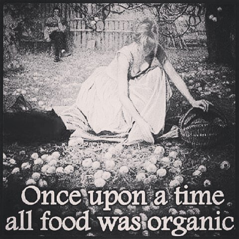 HitamkanBerasmu's tweet photo. Once upon a time all food was organic

#diabetes #diabetesindonesia #makanansehat #berashitam #organik #hidupsehat … https://t.co/QcfHyxFatv