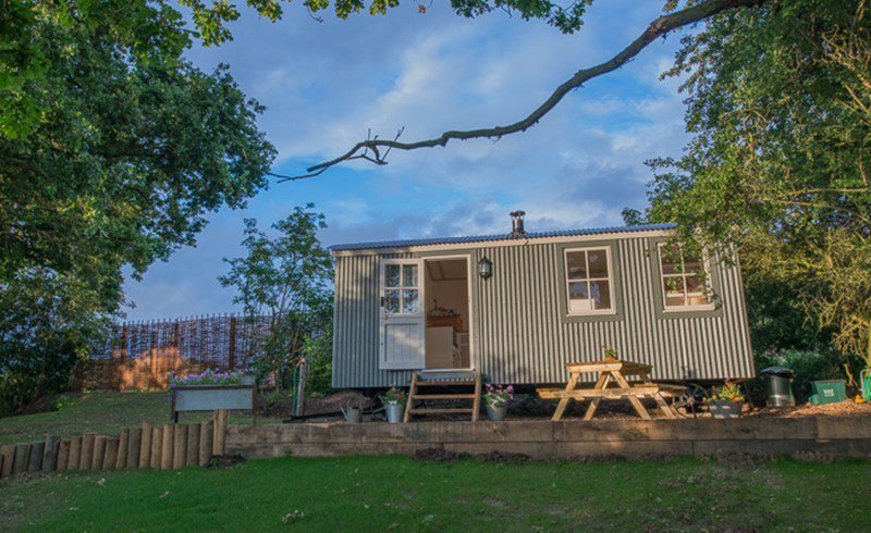 Cool Camping x Hipcamp tweet media