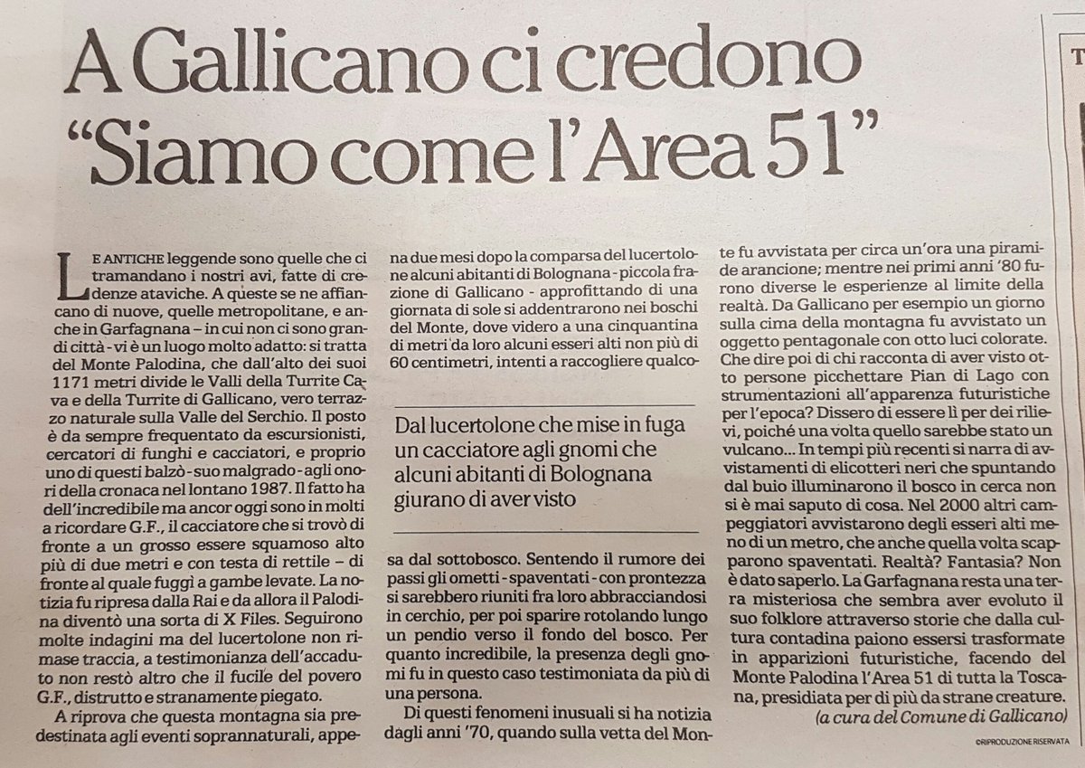 Greta Taddei tweet media