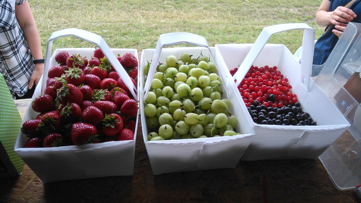 brocksbushes's tweet image. What a fabulous day... 
#northeasthour #sunderlandhour #gatesheadhour