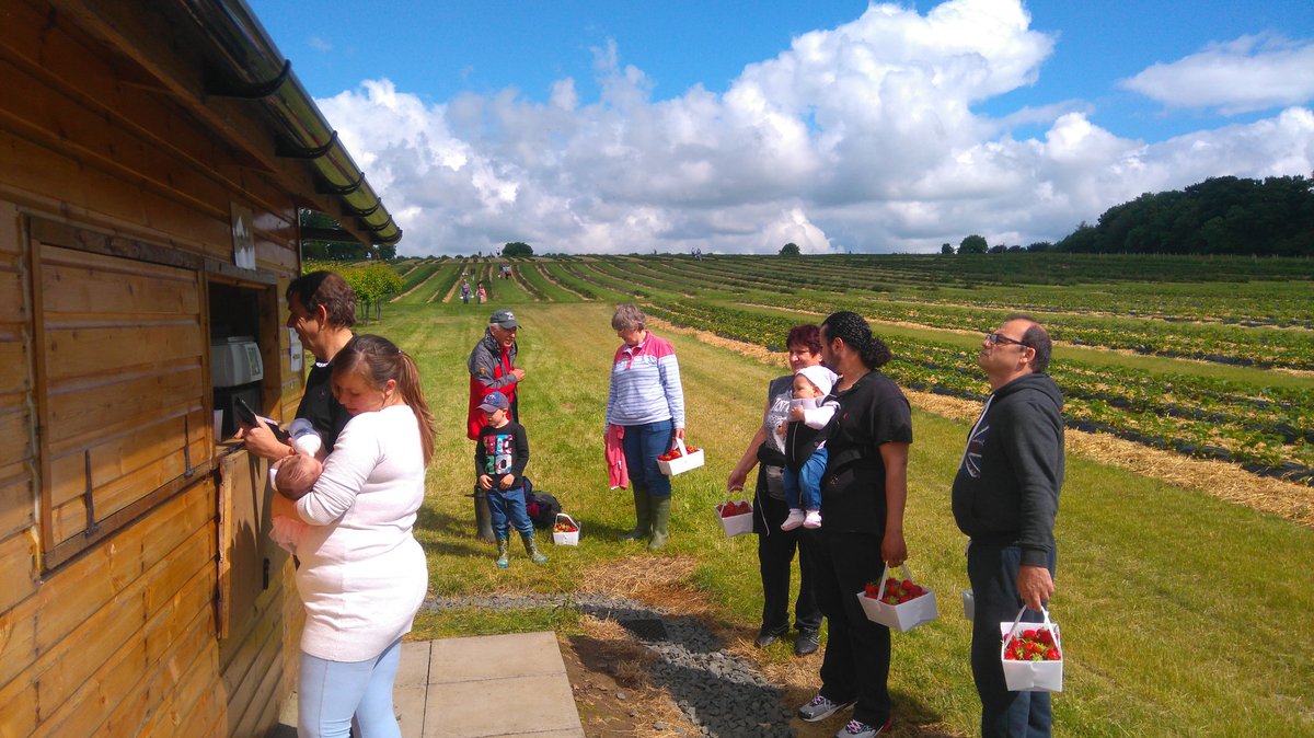 brocksbushes's tweet image. What a fabulous day... 
#northeasthour #sunderlandhour #gatesheadhour