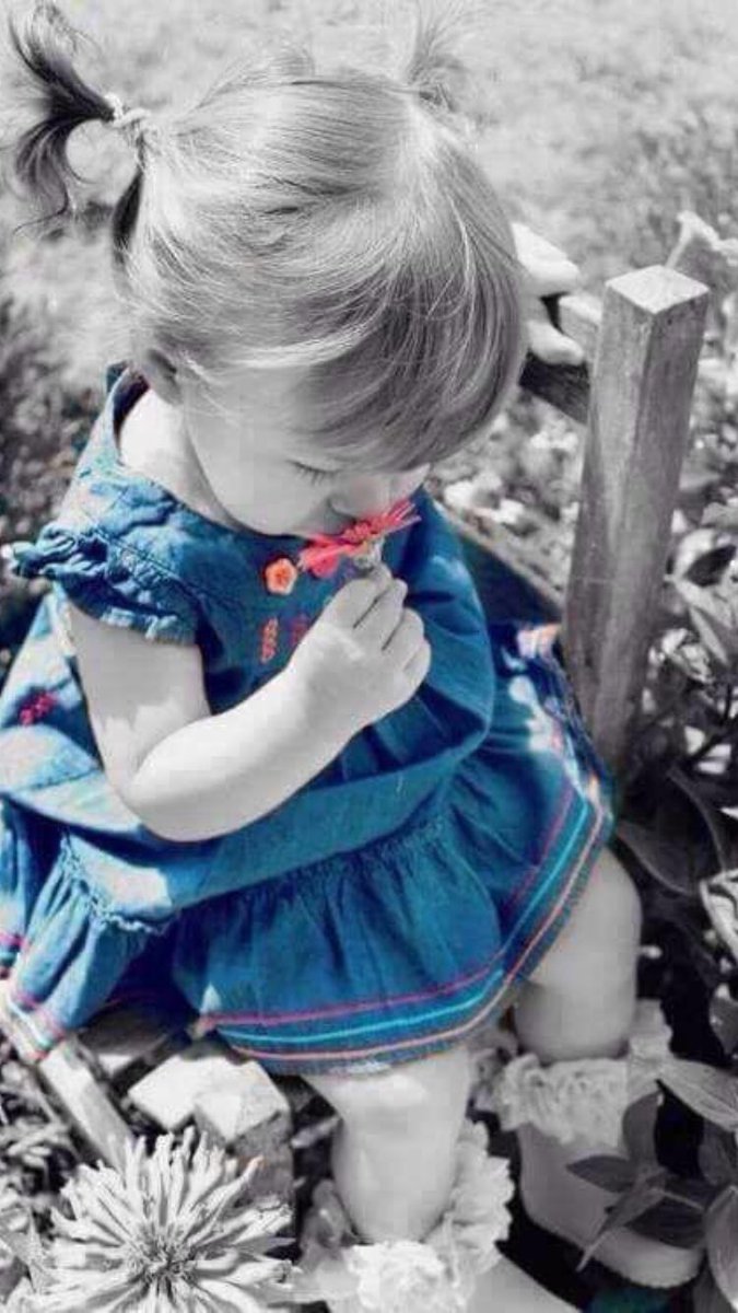 ali_A014's tweet photo. 💥تعلم ��لصبر , فليس كل يوم رآئع 
ـ و آلحيآة ليست دآئماً كمآ تتمنآهآ #قروب_المهاللدعم #قروب_قمر_تويتر https://t.co/ONGE9Gm9X5