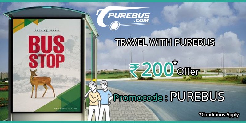 PUREBUS tweet media