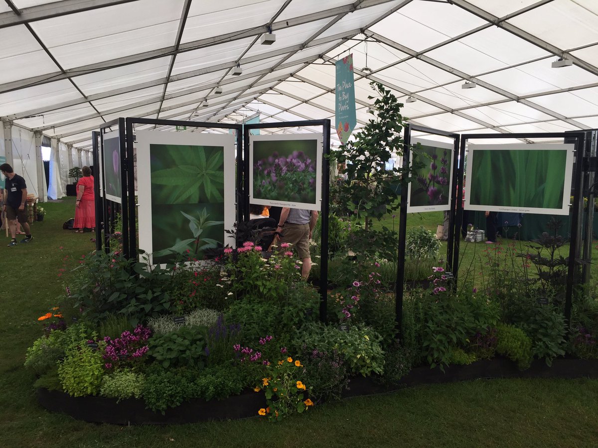 Here it is! Master Grower finally revealed in all its glory at #RHSTatton @The_RHS @Isobelcou @hooksgreenherbs