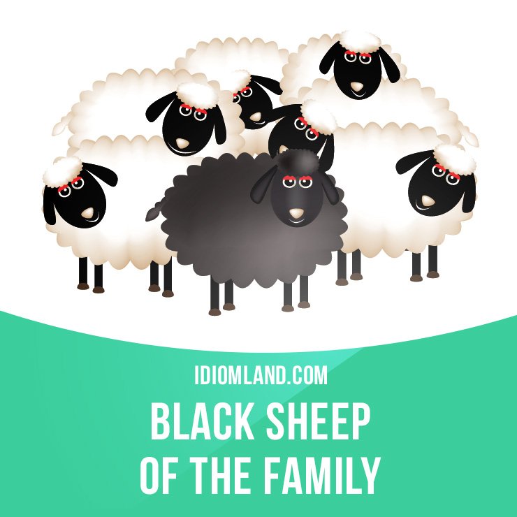 Idiom Land On Twitter Black Sheep Of The Family Is Someone