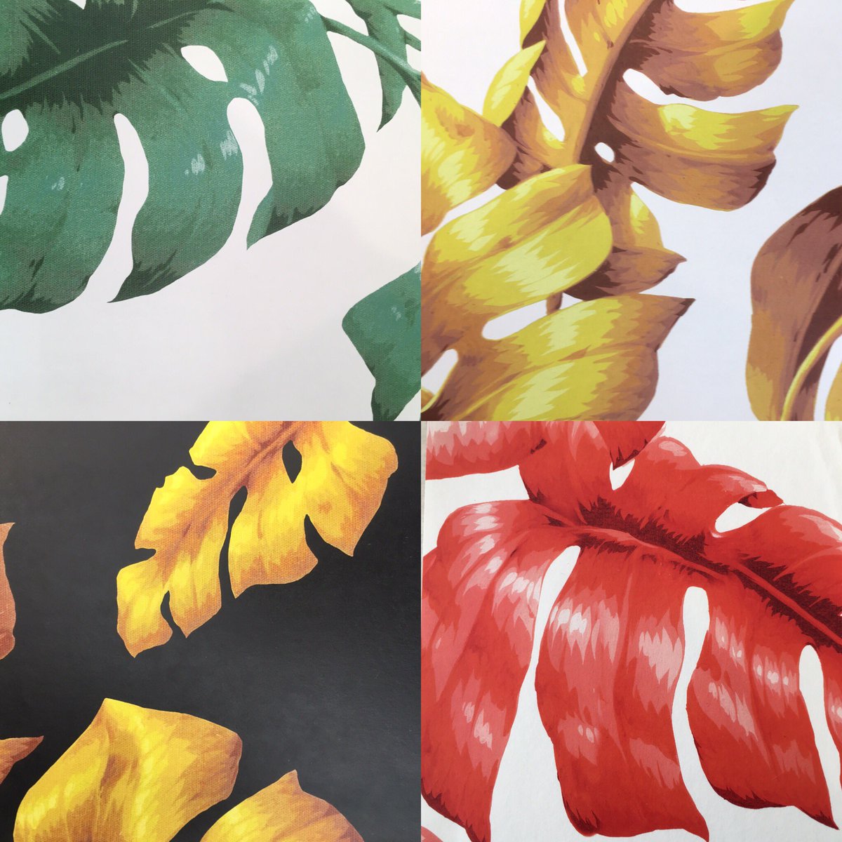 Tarovine wallpapers by #HouseOfHackney available at Beckett Interiors 😍👌 <a href="/beckett_bh/">Beckett Interiors</a> 
#bahrain #interiordesign