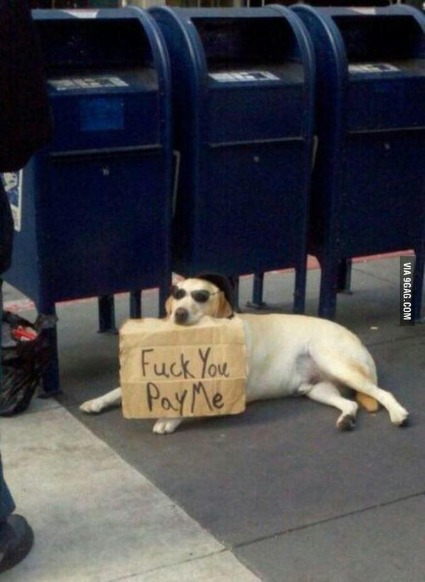 MensHumor's tweet photo. Me trying to get a job https://t.co/XE2pGdR1i9