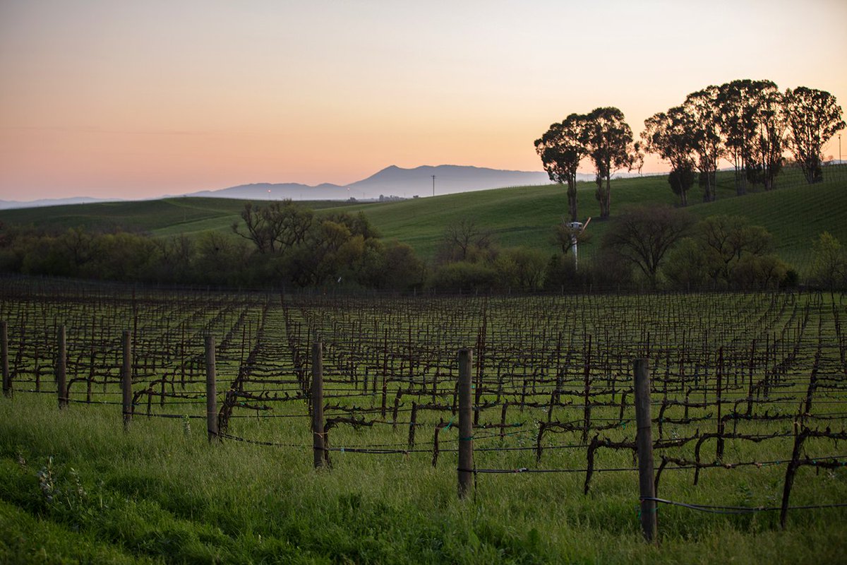 WCGiftBaskets's tweet image. Where will your next adventure take you? #napavalley #inthevines #wander #winecountry #TravelTuesday