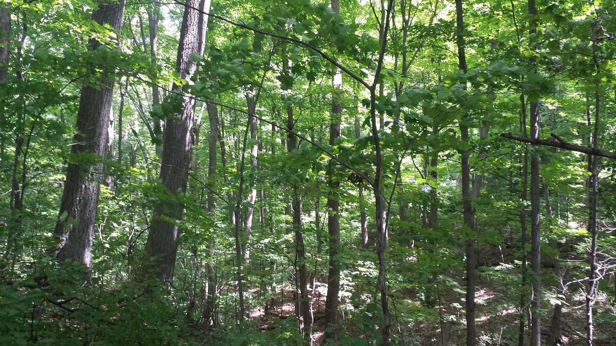 Stephanie Varty tweet media