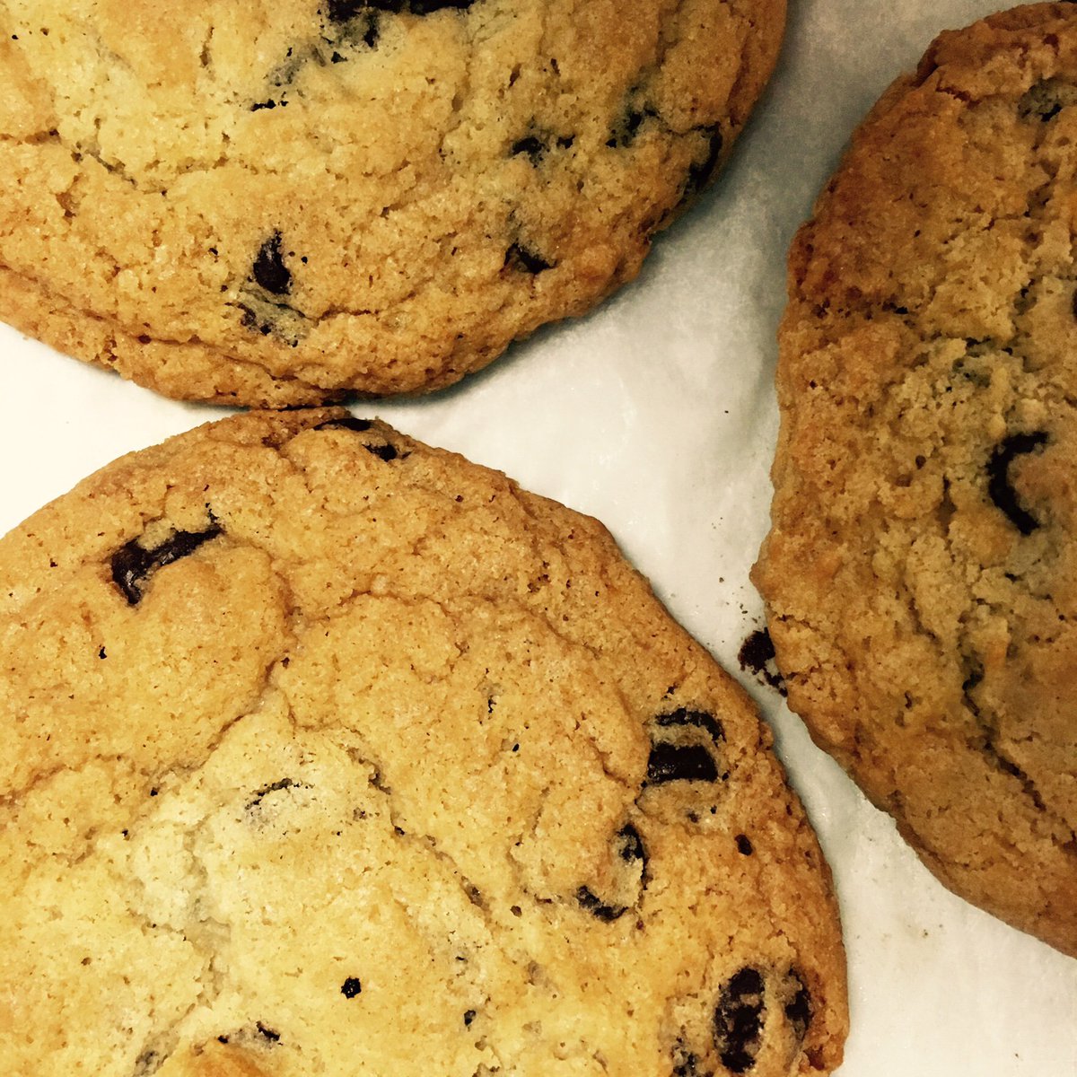 BostonCommon's tweet photo. Treat yourself to a 3pm #chocolate #chip #cookie #pickmeup! #foodporn #bostoncommoncoffee #eatlocal https://t.co/HNTwwMc8nr