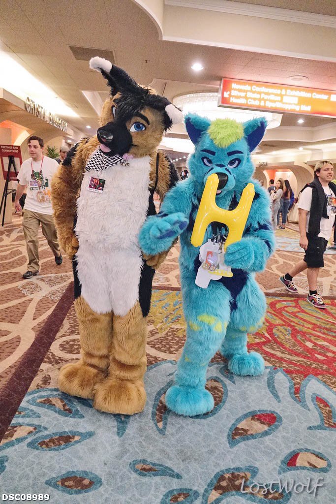 LostWolf321's tweet photo. This picture brought to you by the letter H.
.@SkunkerPuppy &amp; @zutha123 @BiggestLittleFC #BLFC2016 https://t.co/KDAmhewoxG