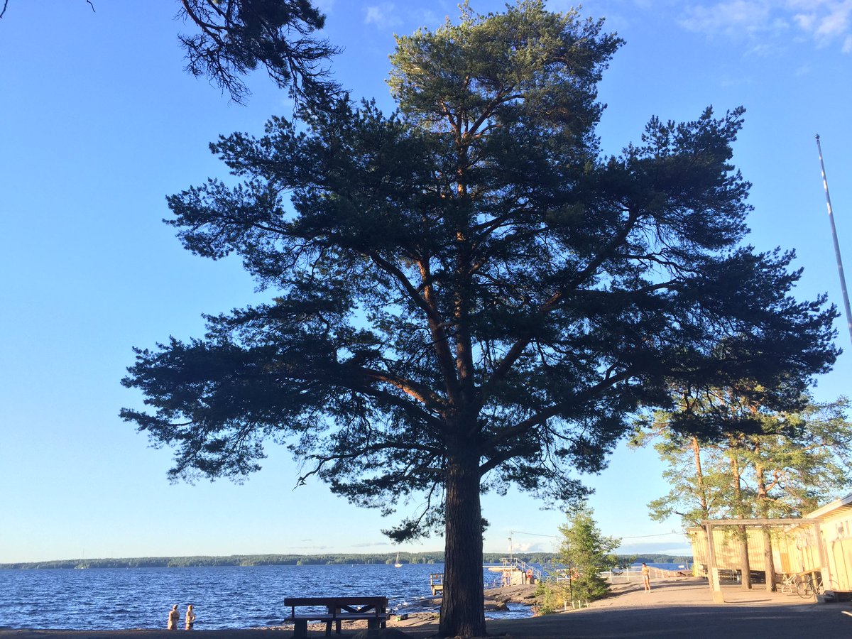BudgetTraveller's tweet photo. Beautiful evening here in Tampere. Sun, sauna and beer. Perfection. #VisitFinland https://t.co/4ApQ50zt9D