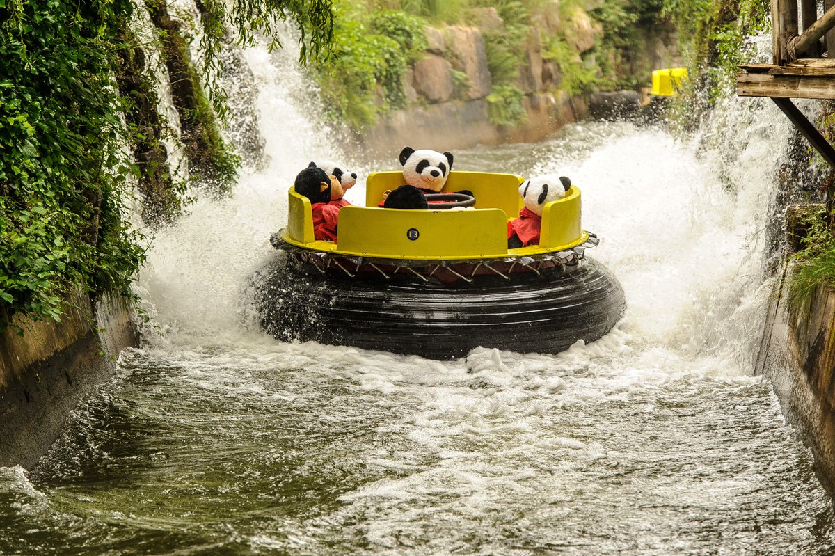 Alton Towers Resort on Twitter "They certainly are!…