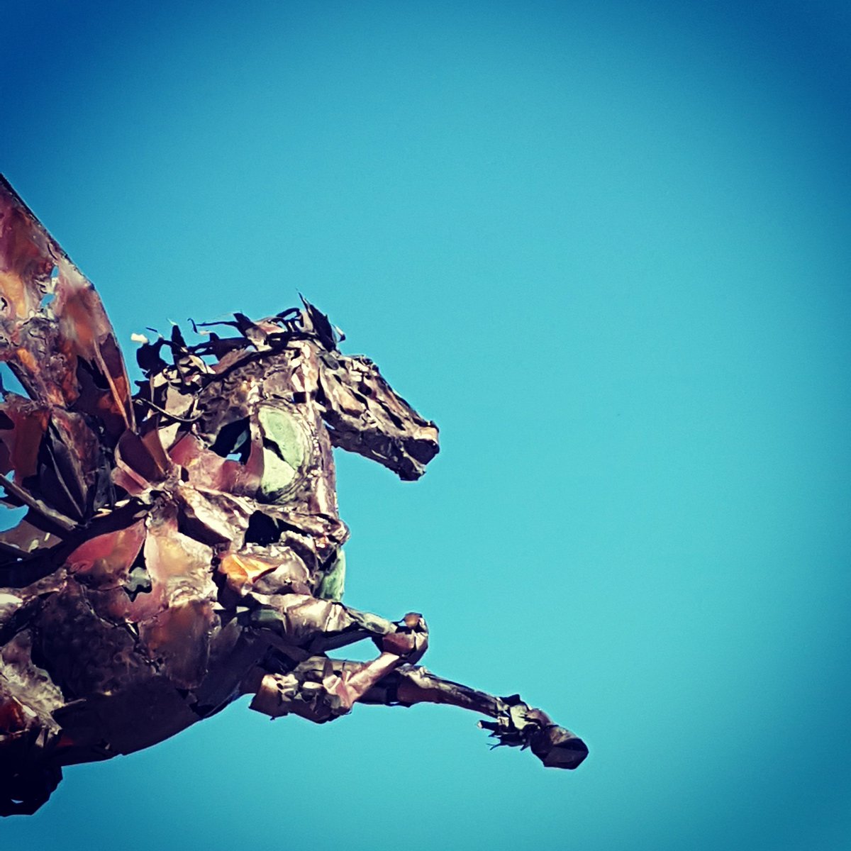 COLCollege's tweet image. The #horse #sculpture outside @colcarts  is loving the #hottestdayoftheyear 😎🌞👌 #itsliverpool