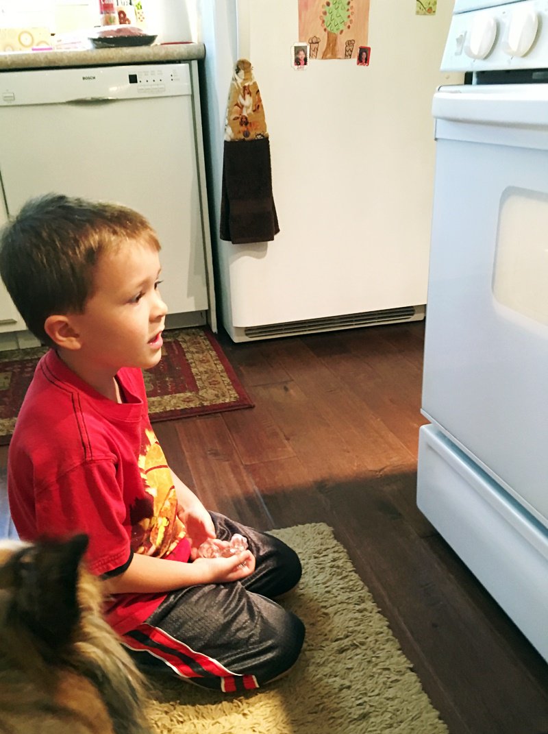 EmilysPuzzle's tweet photo. It's ironic that a kid with such strong food aversions is so fascinated with cooking. #autism #spd #selectiveeater https://t.co/gp2ZOdb6yl
