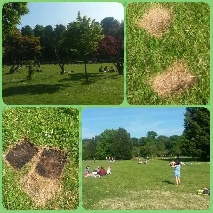 Everybody loves a BBQ but they can cause damage to grass – please #LoveParks and BBQ responsibly!