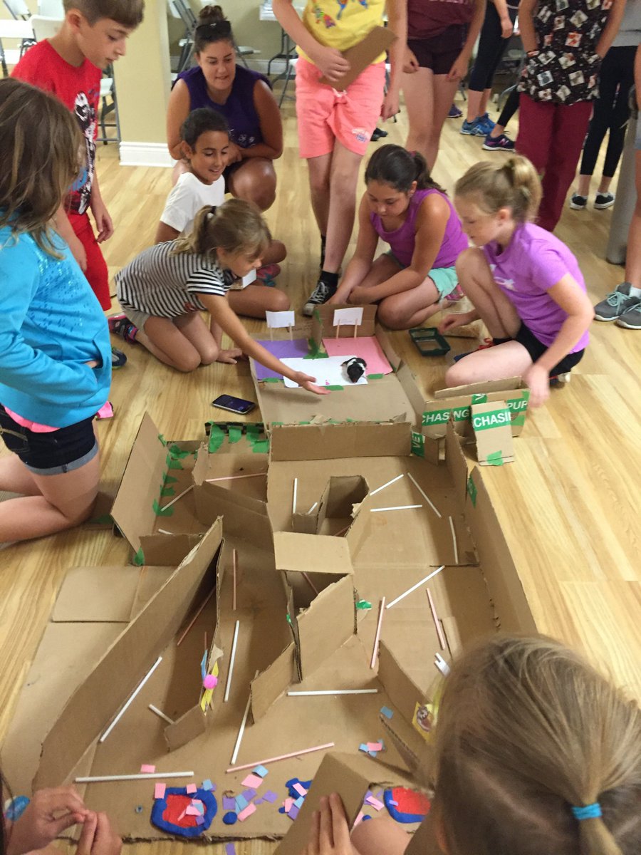 The Zoo Crew tweet media