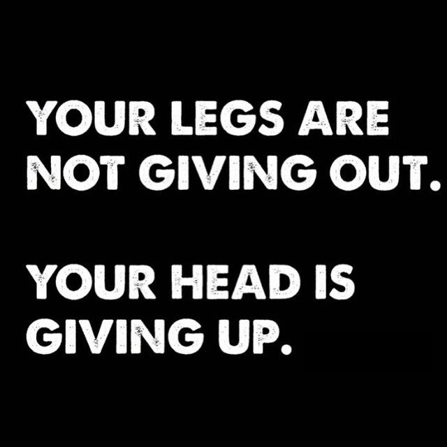 Group run tonight at 6:30 pm <a href="/highlandrunners/">Highland Runners</a> Come explore some of the best 5 and 3 mile routes #vahi has to offer!