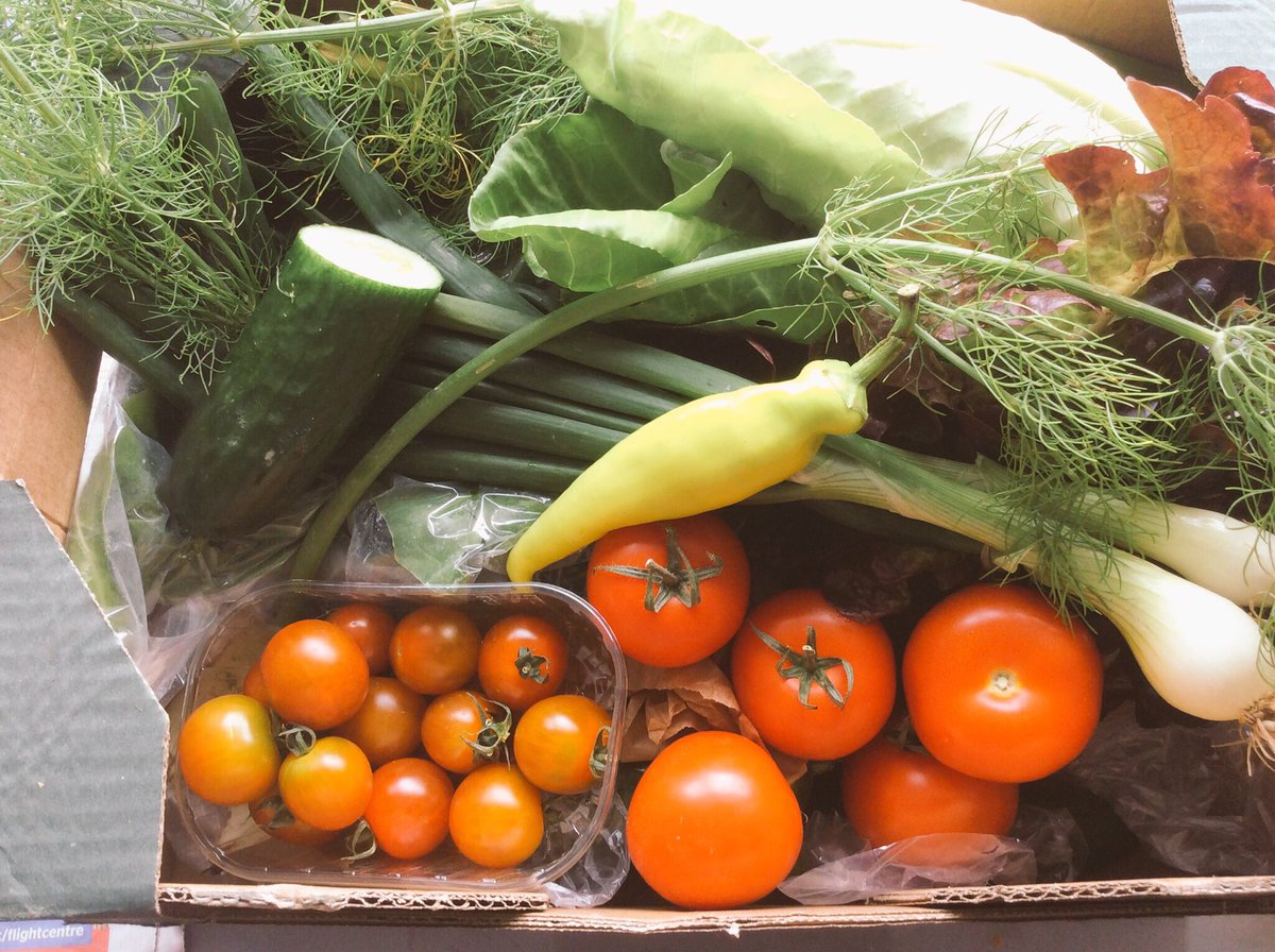 While we're taking a break why not try <a href="/penge_food/">Penge Food Hub</a> or <a href="/LadywellFA/">LadywellFA</a> if you're local to either? ☀️☀️☀️ #yestolocal