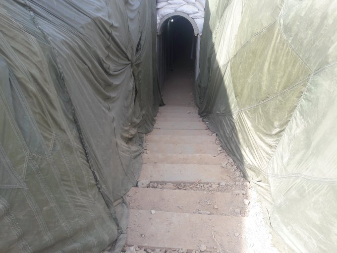 عرض الصورة على تويتر