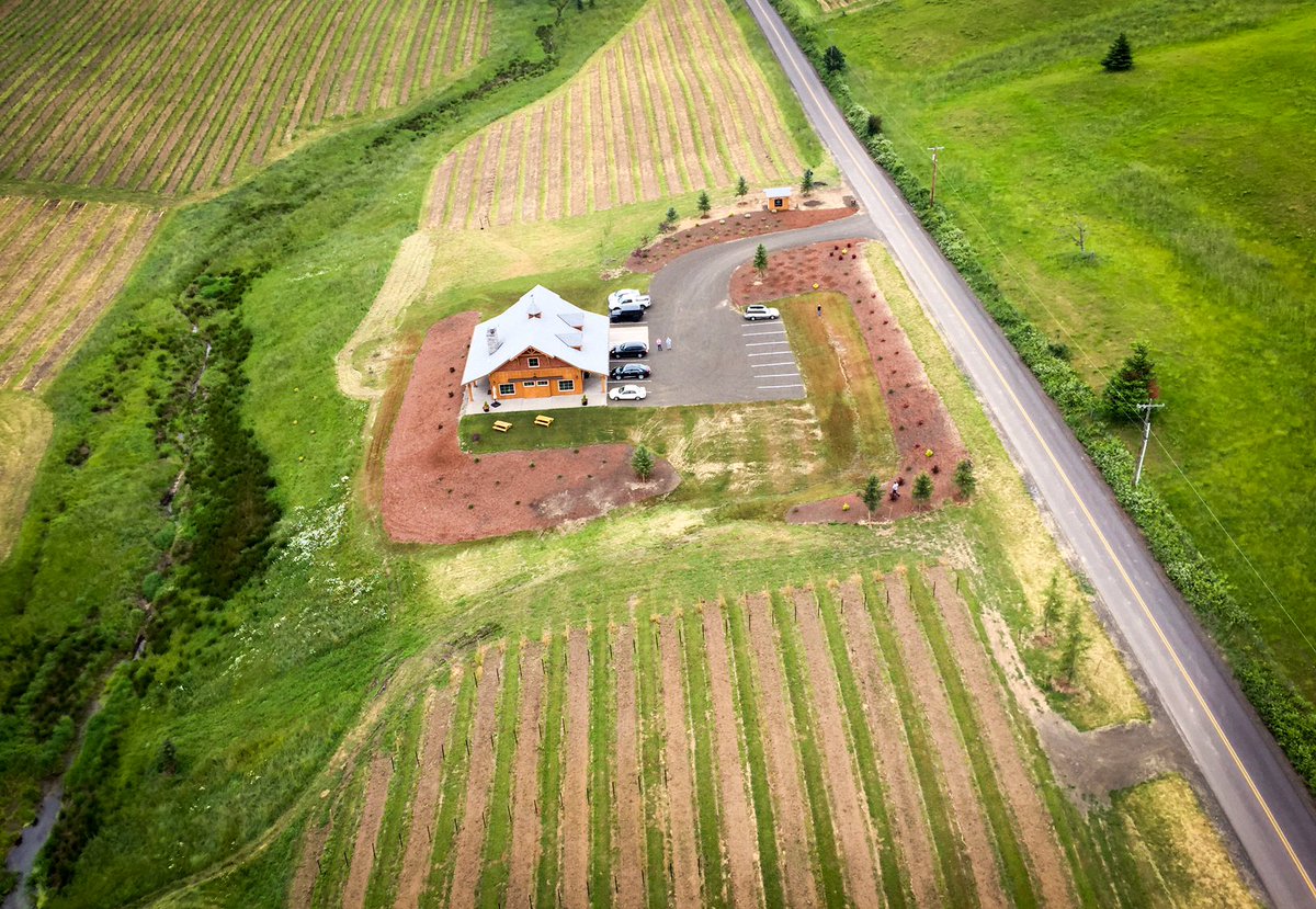 What better way to see the #WillametteValley than from the air? Contact #TourDeVineByHeli to do just that!