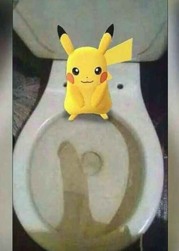 Acabo de atrapar un Pokemon
