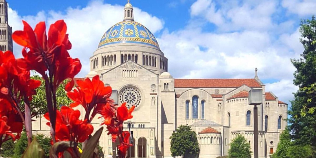 CatholicUniv's tweet photo. A beautiful moment at #CUA captured by 📸: @pchmielewskaa on IG #CUAsummer #basiligram #lunchbreak https://t.co/yLWGbb1zzD