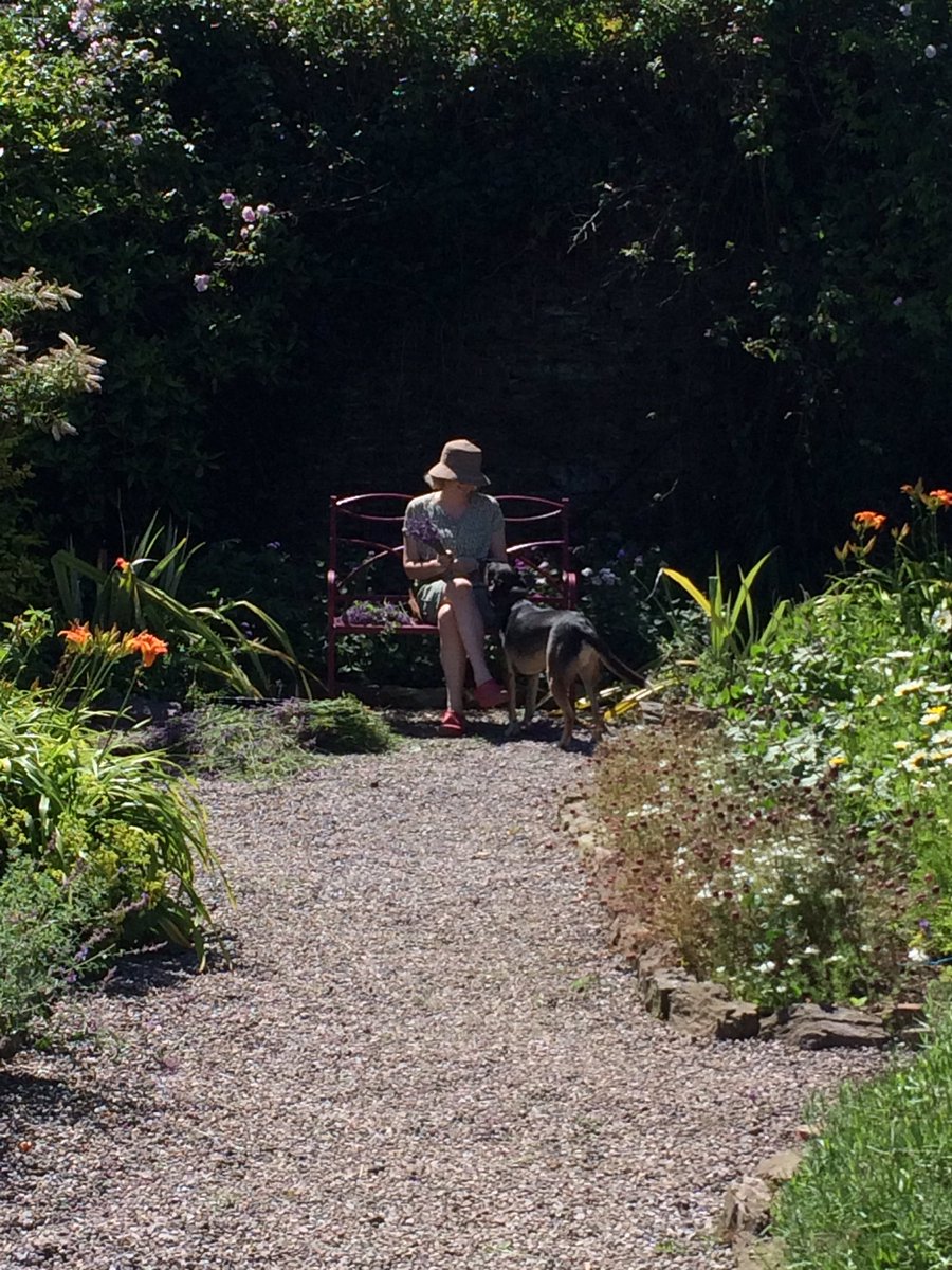 Head volunteer Melissa cutting back lavender and tying into bundles for the garden stall. #SoothingScents