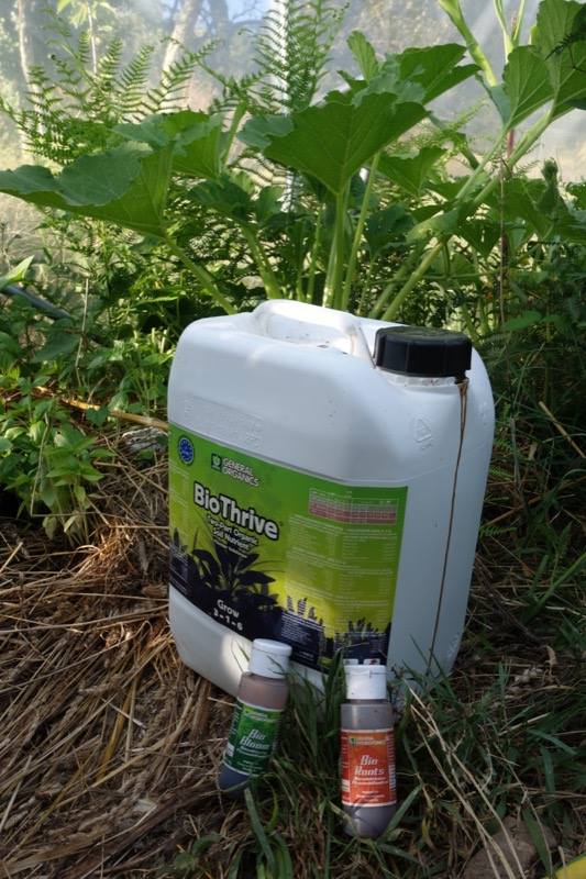 Terra_Aquatica's tweet photo. #BioThrive #Organics #Grow #Bloom #ghe #hydroponics #BioBoosters #BioBloom #BioRoots #GeneraOrganics #nutients https://t.co/5UxXJpYlhg