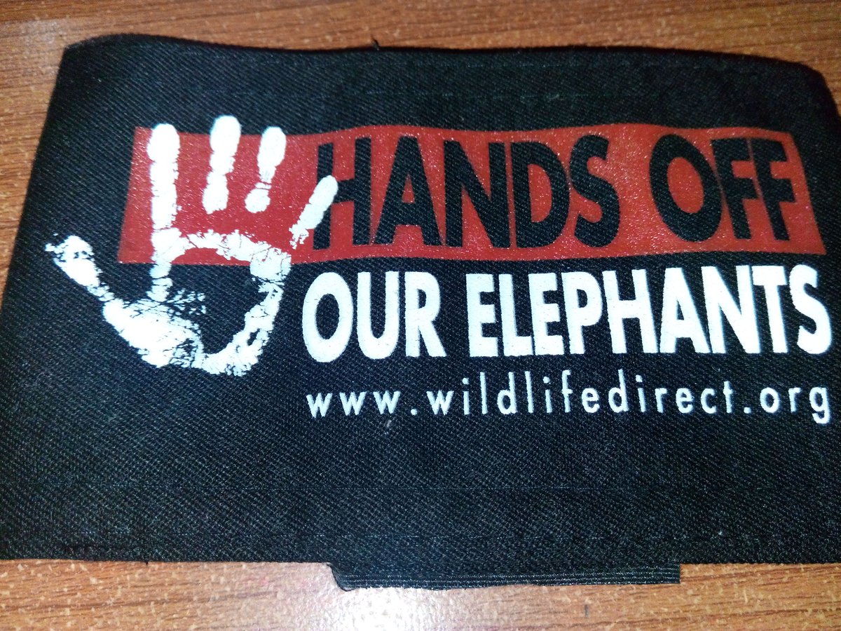 #NTVWild Talk #AmboseliElephants with the divas. #HandsOffOurElephants