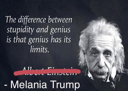 ardalanhashemi's tweet photo. #FamousMelaniaTrumpQuotes I had to do it 😂😂😂 https://t.co/q6zo7xllbZ