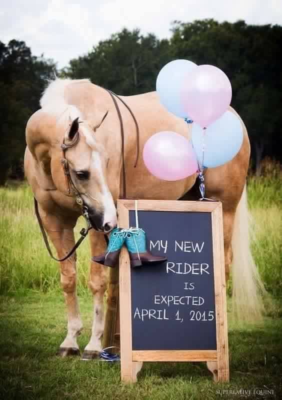 This is so stinking cute! I’ll have to use this idea when I have babies!😍