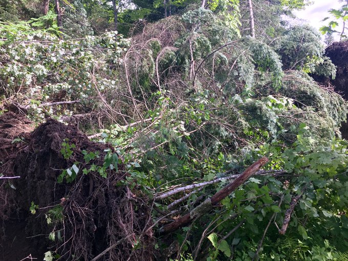 View image on Twitter