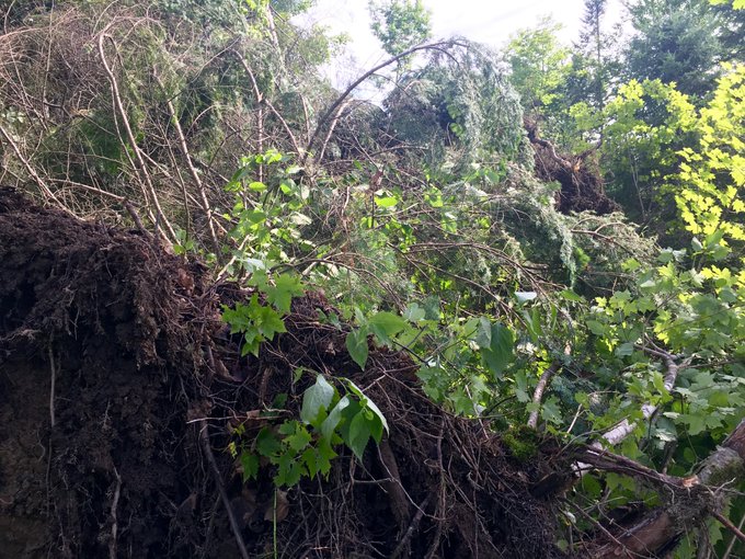 View image on Twitter