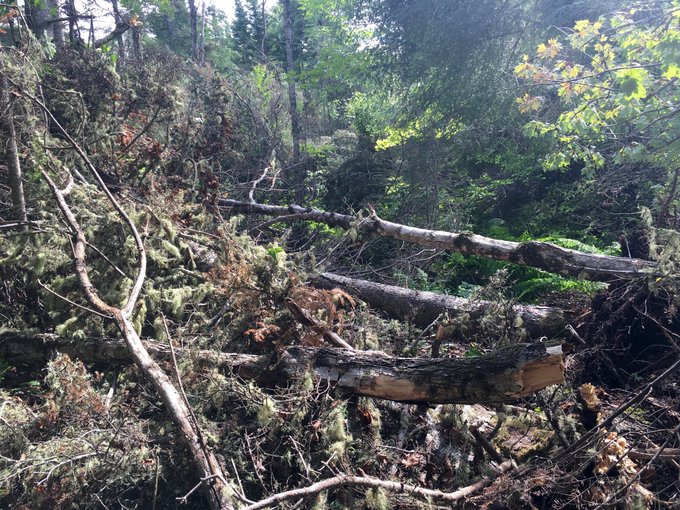 View image on Twitter