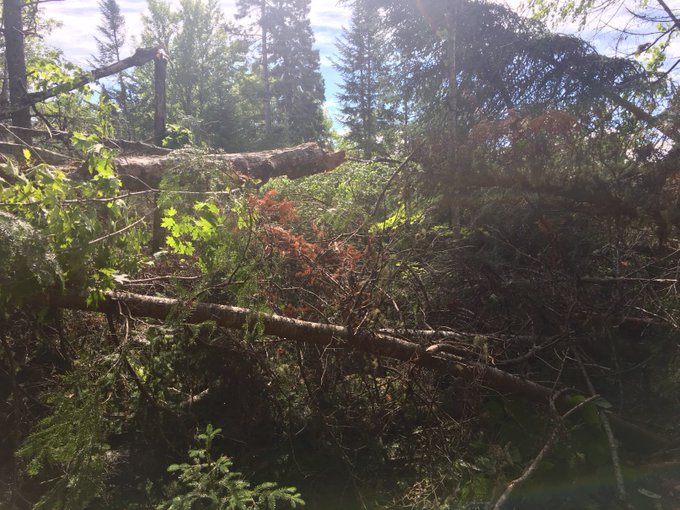 View image on Twitter